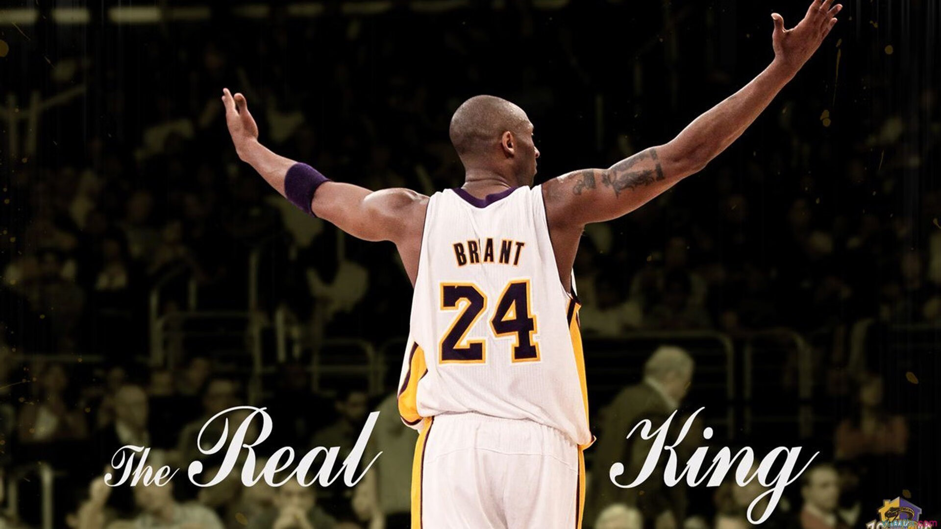 《Apex Legends》全球冠军赛即将开幕,热门战队争夺高额奖金,apex英雄冠军