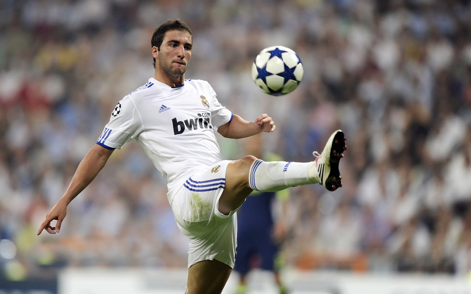 开云娱乐-中超惊现鲁能同学会！李霄鹏韩鹏李金羽，师兄弟变对手，山东鲁能主帅李霄鹏